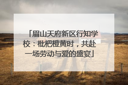 眉山天府新区行知学校：枇杷橙黄时，共赴一场劳动与爱的盛宴