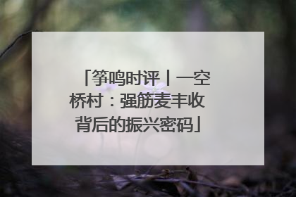 筝鸣时评丨一空桥村：强筋麦丰收背后的振兴密码