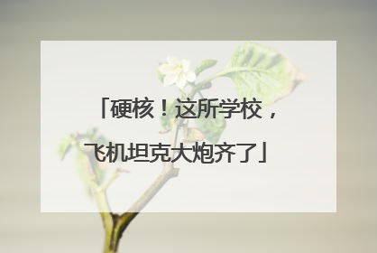 硬核！这所学校，飞机坦克大炮齐了