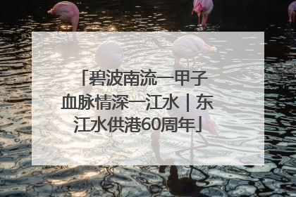 碧波南流一甲子 血脉情深一江水｜东江水供港60周年