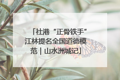 社港“正骨铁手”江林提名全国道德模范｜山水洲城记