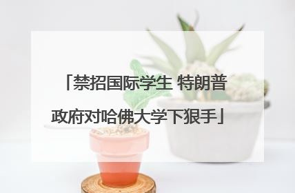 禁招国际学生 特朗普政府对哈佛大学下狠手