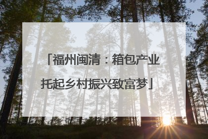 福州闽清：箱包产业托起乡村振兴致富梦