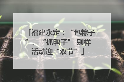 福建永定：“包粽子”、“抓鸭子” 别样活动迎“双节”