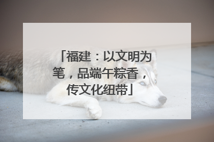 福建：以文明为笔，品端午粽香，传文化纽带