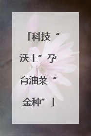 科技“沃土”孕育油菜“金种”