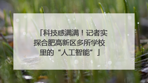 科技感满满！记者实探合肥高新区多所学校里的“人工智能”