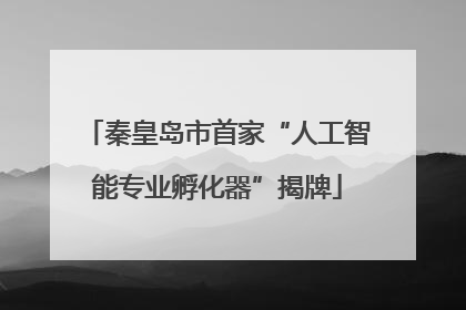秦皇岛市首家“人工智能专业孵化器”揭牌