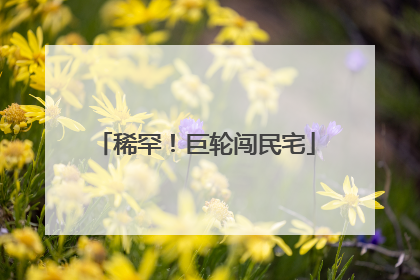 稀罕！巨轮闯民宅