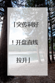 突传利好！开盘直线拉升