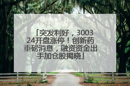 突发利好，300324开盘涨停！创新药重磅消息，融资资金出手加仓股揭晓