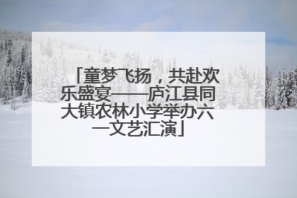 童梦飞扬，共赴欢乐盛宴——庐江县同大镇农林小学举办六一文艺汇演