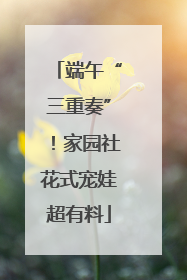 端午“三重奏”！家园社花式宠娃超有料