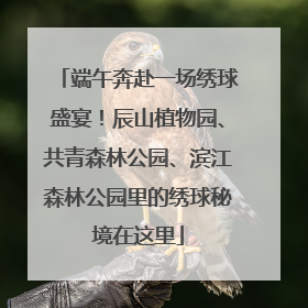 端午奔赴一场绣球盛宴！辰山植物园、共青森林公园、滨江森林公园里的绣球秘境在这里
