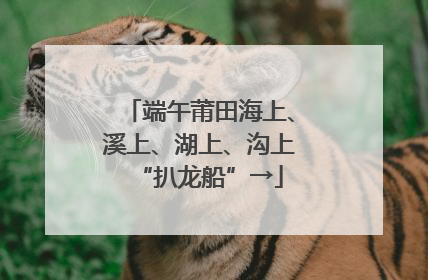 端午莆田海上、溪上、湖上、沟上“扒龙船”→
