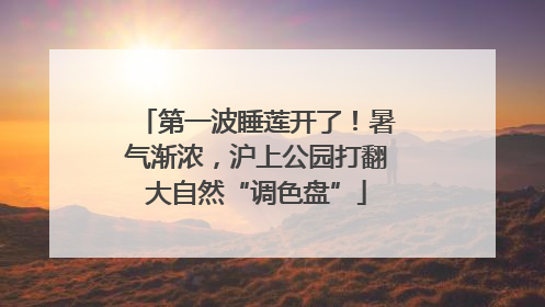 第一波睡莲开了！暑气渐浓，沪上公园打翻大自然“调色盘”