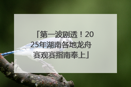 第一波剧透！2025年湖南各地龙舟赛观赛指南奉上