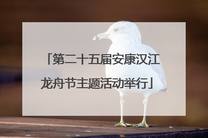 第二十五届安康汉江龙舟节主题活动举行