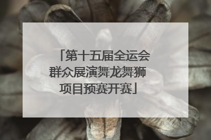第十五届全运会群众展演舞龙舞狮项目预赛开赛