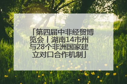 第四届中非经贸博览会丨湖南14市州与28个非洲国家建立对口合作机制