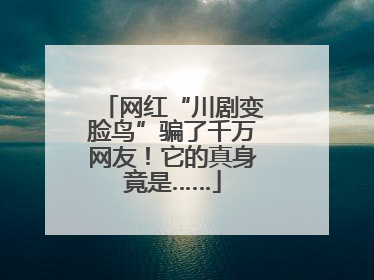 网红“川剧变脸鸟”骗了千万网友！它的真身竟是……
