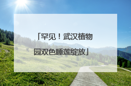 罕见！武汉植物园双色睡莲绽放
