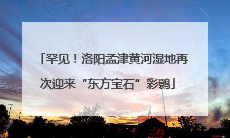 罕见！洛阳孟津黄河湿地再次迎来“东方宝石”彩鹮