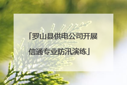 罗山县供电公司开展信通专业防汛演练
