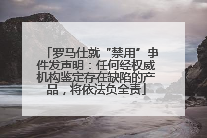 罗马仕就“禁用”事件发声明：任何经权威机构鉴定存在缺陷的产品，将依法负全责