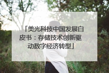 美光科技中国发展白皮书：存储技术创新驱动数字经济转型