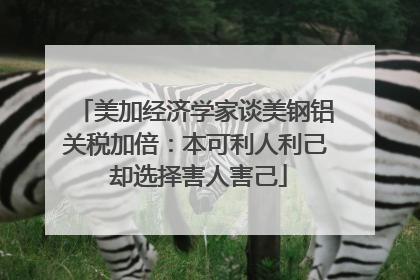 美加经济学家谈美钢铝关税加倍：本可利人利己 却选择害人害己