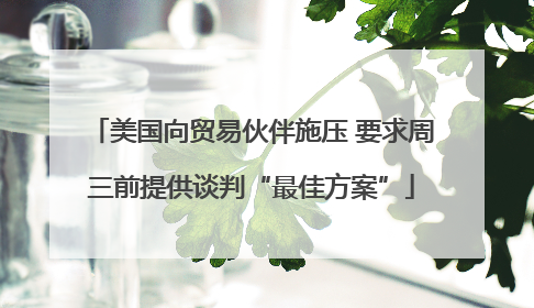 美国向贸易伙伴施压 要求周三前提供谈判“最佳方案”