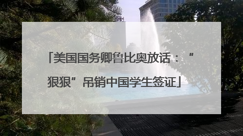 美国国务卿鲁比奥放话：“狠狠”吊销中国学生签证