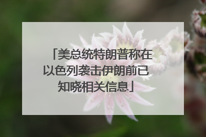 美总统特朗普称在以色列袭击伊朗前已知晓相关信息