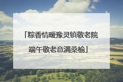 粽香情暖豫灵镇敬老院 端午敬老意满桑榆