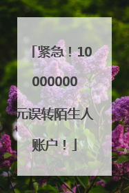 紧急！10000000元误转陌生人账户！