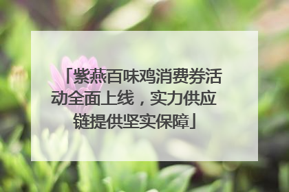 紫燕百味鸡消费券活动全面上线，实力供应链提供坚实保障