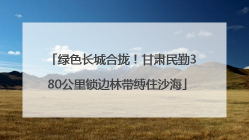 绿色长城合拢！甘肃民勤380公里锁边林带缚住沙海