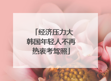 经济压力大 韩国年轻人不再热衷考驾照