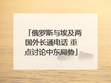 俄罗斯与埃及两国外长通电话 重点讨论中东局势