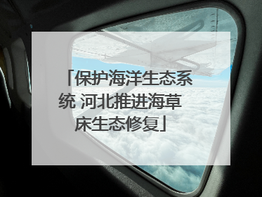 保护海洋生态系统 河北推进海草床生态修复