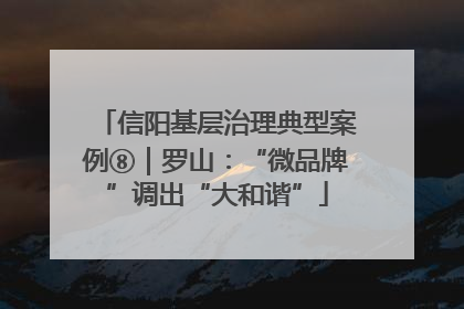 信阳基层治理典型案例⑧｜罗山：“微品牌”调出“大和谐”