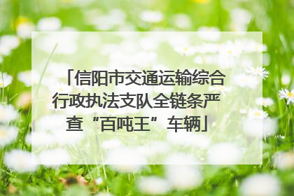 信阳市交通运输综合行政执法支队全链条严查“百吨王”车辆