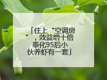 住上“空调房”，效益增十倍 奉化95后小伙养虾有一套