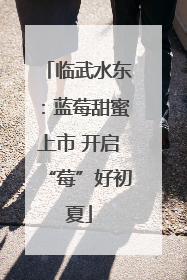 临武水东：蓝莓甜蜜上市 开启“莓”好初夏