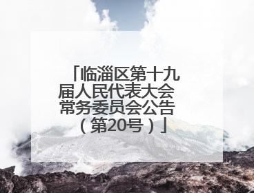 临淄区第十九届人民代表大会常务委员会公告（第20号）
