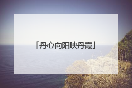 丹心向阳映丹霞