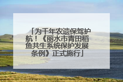 为千年农遗保驾护航！《丽水市青田稻鱼共生系统保护发展条例》正式施行