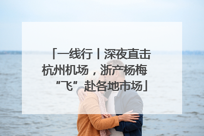 一线行丨深夜直击杭州机场，浙产杨梅“飞”赴各地市场
