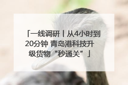 一线调研丨从4小时到20分钟 青岛港科技升级货物“秒通关”